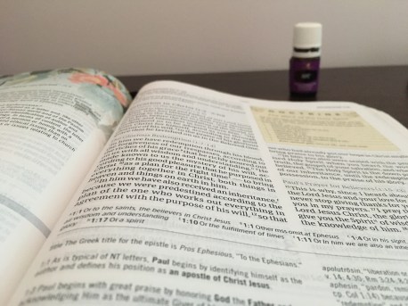 4A290E3F-4BDA-44B5-B688-42AC5E9C3A99